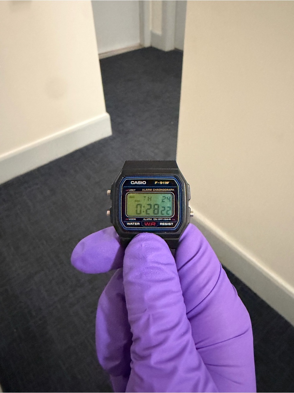Casio F-91W Digital Watch W/ Blue Green Gradient Filter